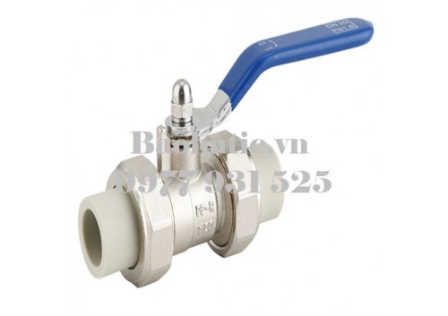 Van bi rắc co PPR thân inox D110